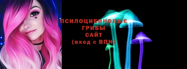 шишки Гусиноозёрск