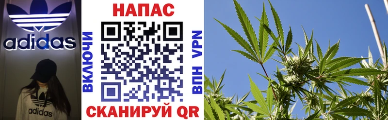 магазин продажи Первомайск ссылка на мегу ССЫЛКА Бошки марихуана гибрид